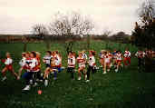 Lansing High School Days - Cross Country Sophomore Year 1986